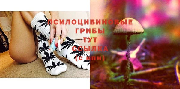spice Солнечногорск