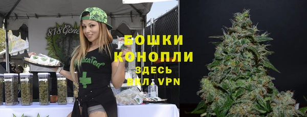 ешки Долгопрудный